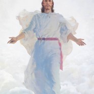 Mormon Doctrine Mormon Doctrine